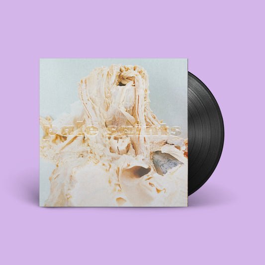 Pale Saints - “In Ribbons” (Expanded 30th Anniversary Reissue) [Black Vinyl Repress]