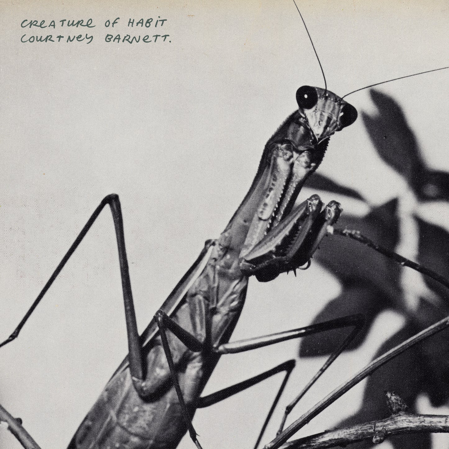 Courtney Barnett  - Creature of Habit [LP]