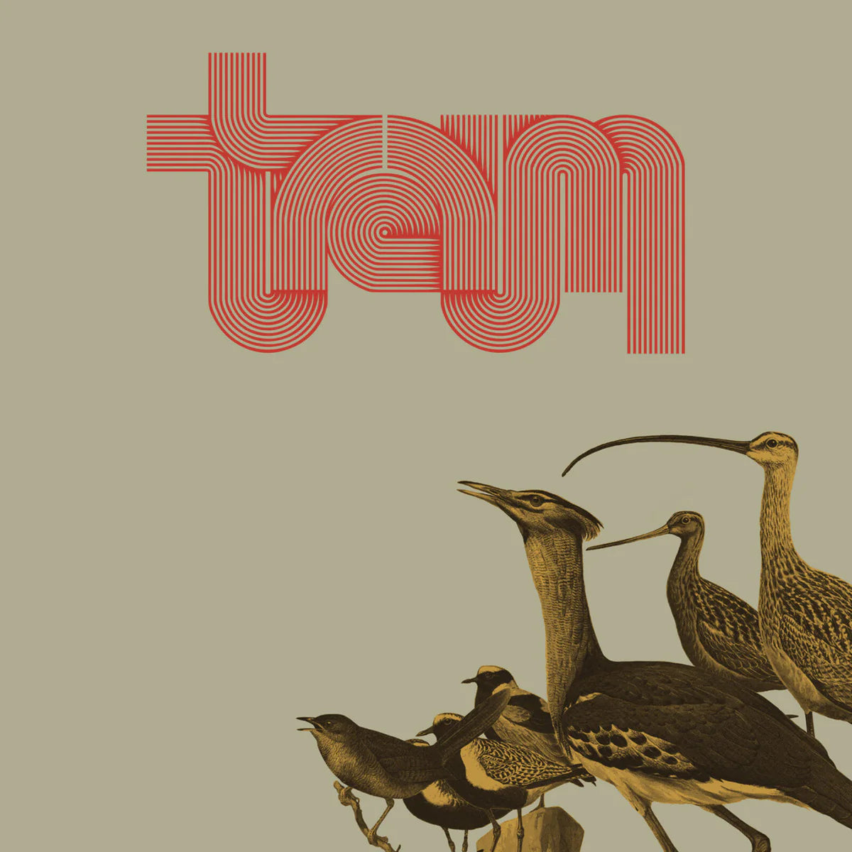 Traum - Traum [Red LP]