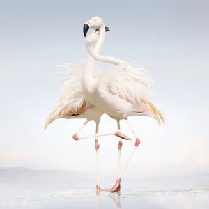 Rustie - Green Language [2LP]