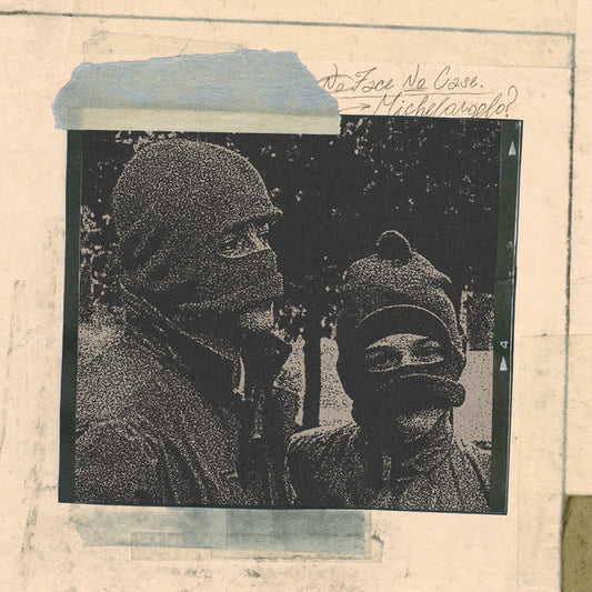 Michaelangelo - No Face, No Case