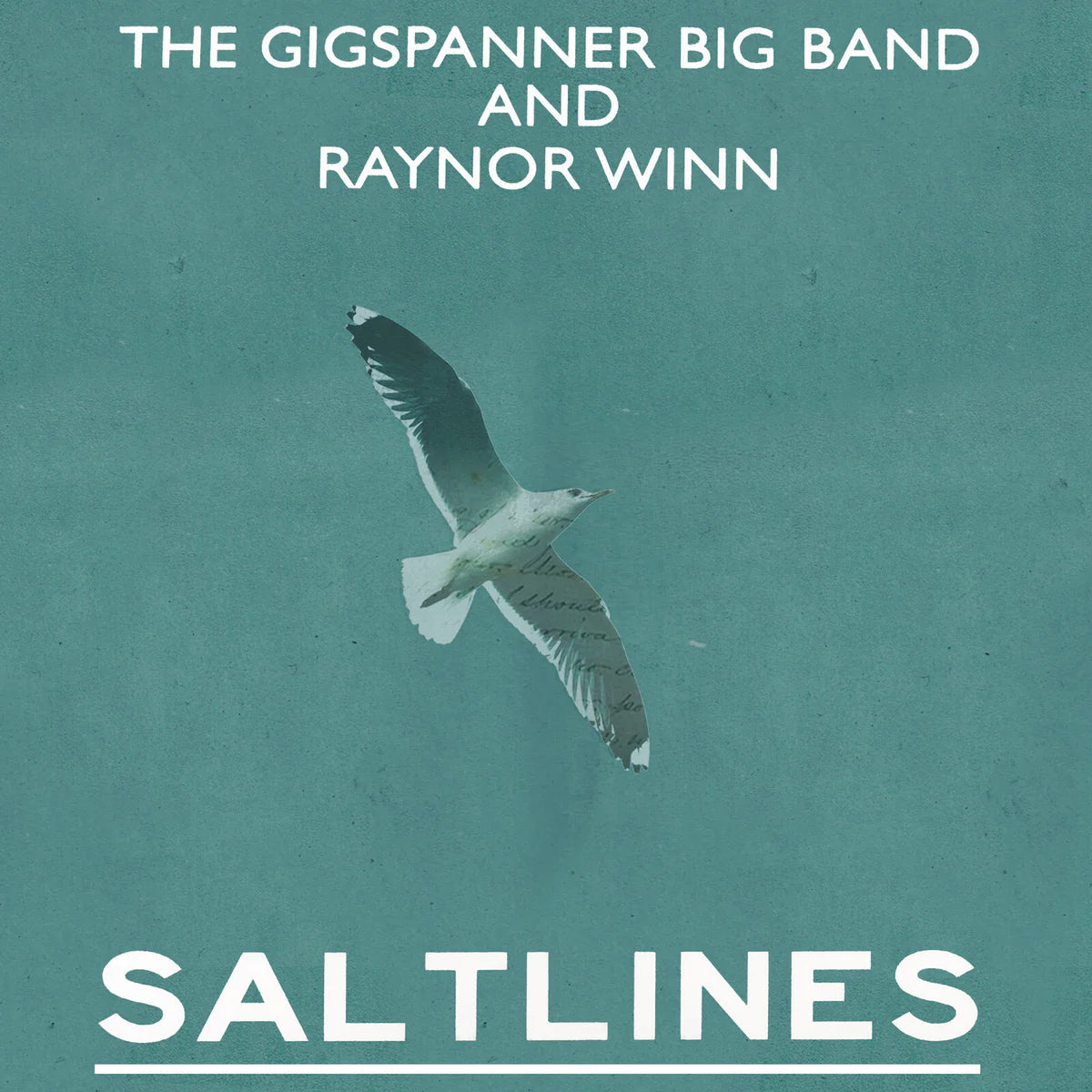 The Gigspanner Big Band & Raynor Winn - Saltlines [2CD set]