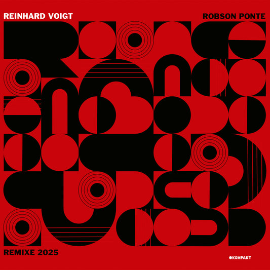 Reinhard Voigt - Robson Ponte Remixe 2025