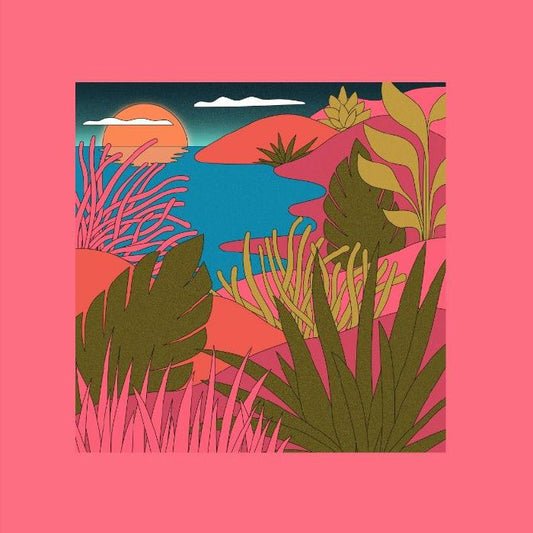 COYOTE / PEAKING LIGHTS - Love Letters