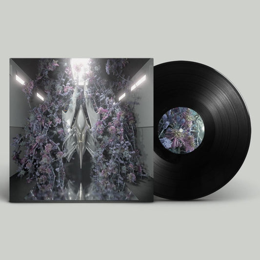 Sideral - I Give You