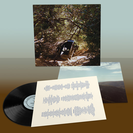 Ty Segall - Possession [LP]