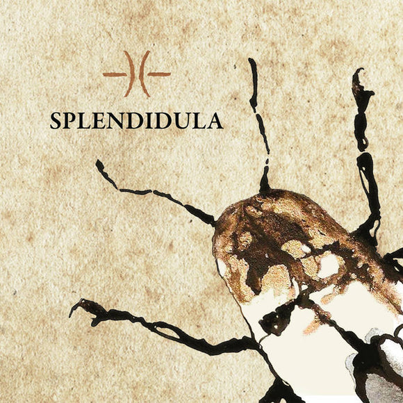 Splendidula - Splendidula [CD]