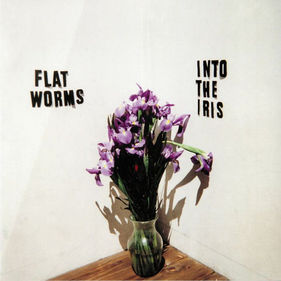 FLAT WORMS - INTO THE IRIS