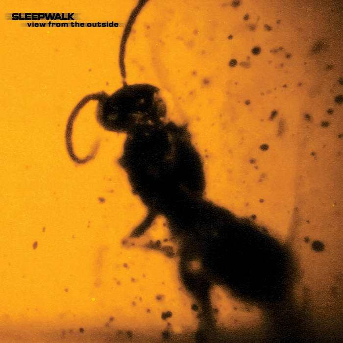 Sleepwalk - View From The Outside [CD]