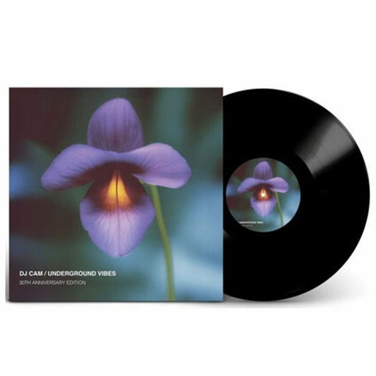 DJ Cam - Underground Vibes (30th anniversary)