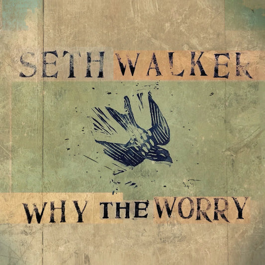 Seth Walker - Why The Worry [LP]