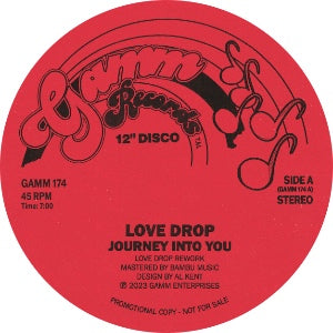 LOVE DROP - JOURNEY INTO YOU / BOOGIE DOWN