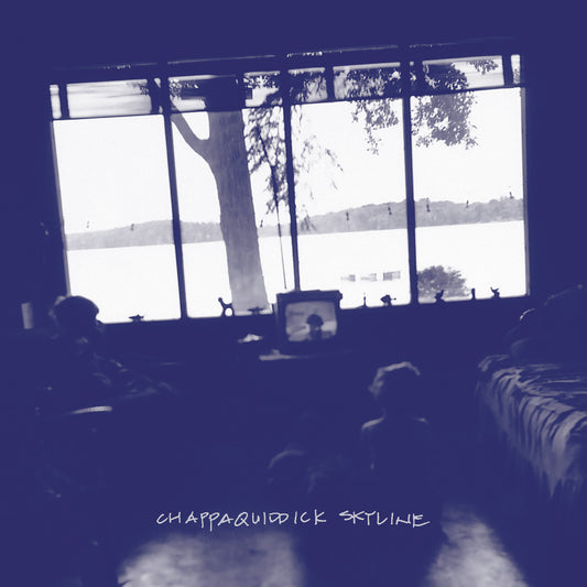 Chappaquiddick Skyline - Chappaquiddick Skyline (INDIE EXCLUSIVE, CLEAR VINYL)