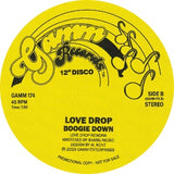 LOVE DROP - JOURNEY INTO YOU / BOOGIE DOWN