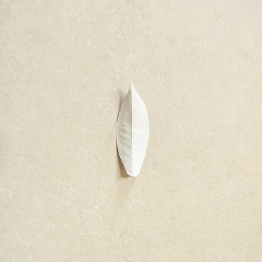 Sylvain Chauveau - The Complexity Of The Simple