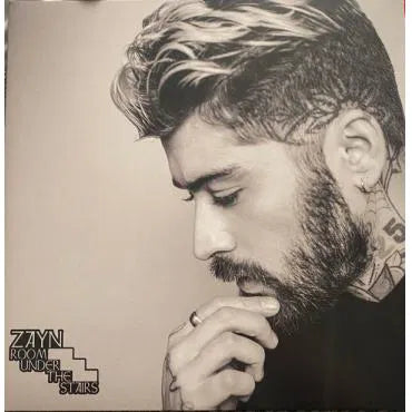 ZAYN - ROOM UNDER THE STAIRS [L.P. SET Hardwood, Alternate Cover]