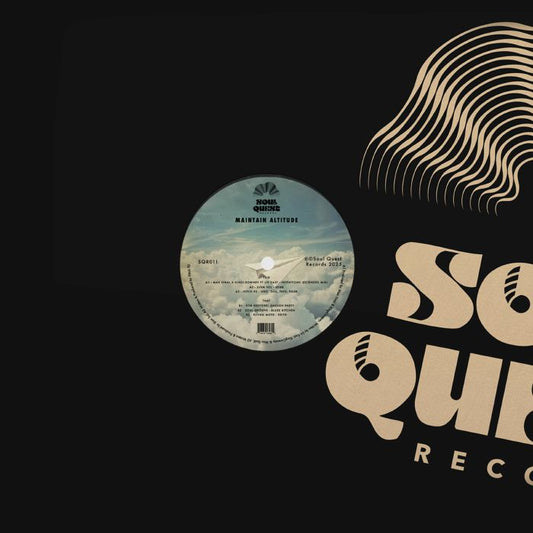 V.A. - MAINTAIN ALTITUDE EP