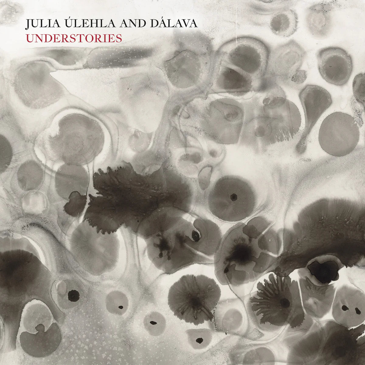 Julia Ulehla & Dalava - Understories [CD]