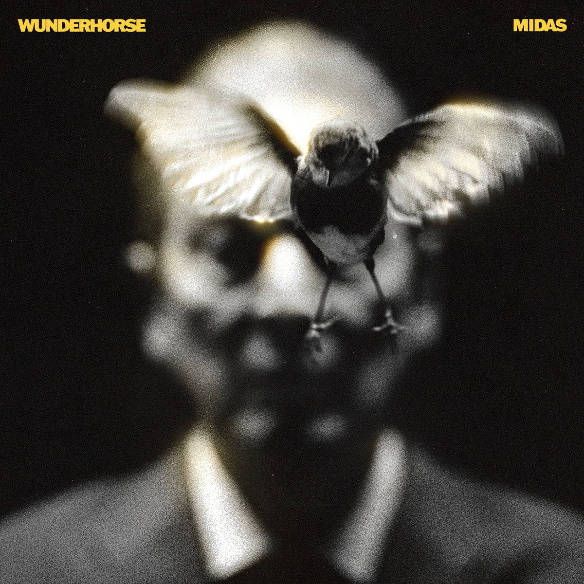Wunderhorse - Midas [Coloured Vinyl]
