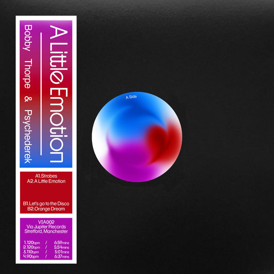 BOBBY THORPE & PSYCHEDEREK - A LITTLE EMOTION