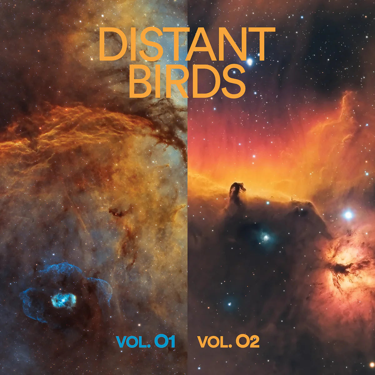 Distant Birds - VOL. 01 & 02 [CD]