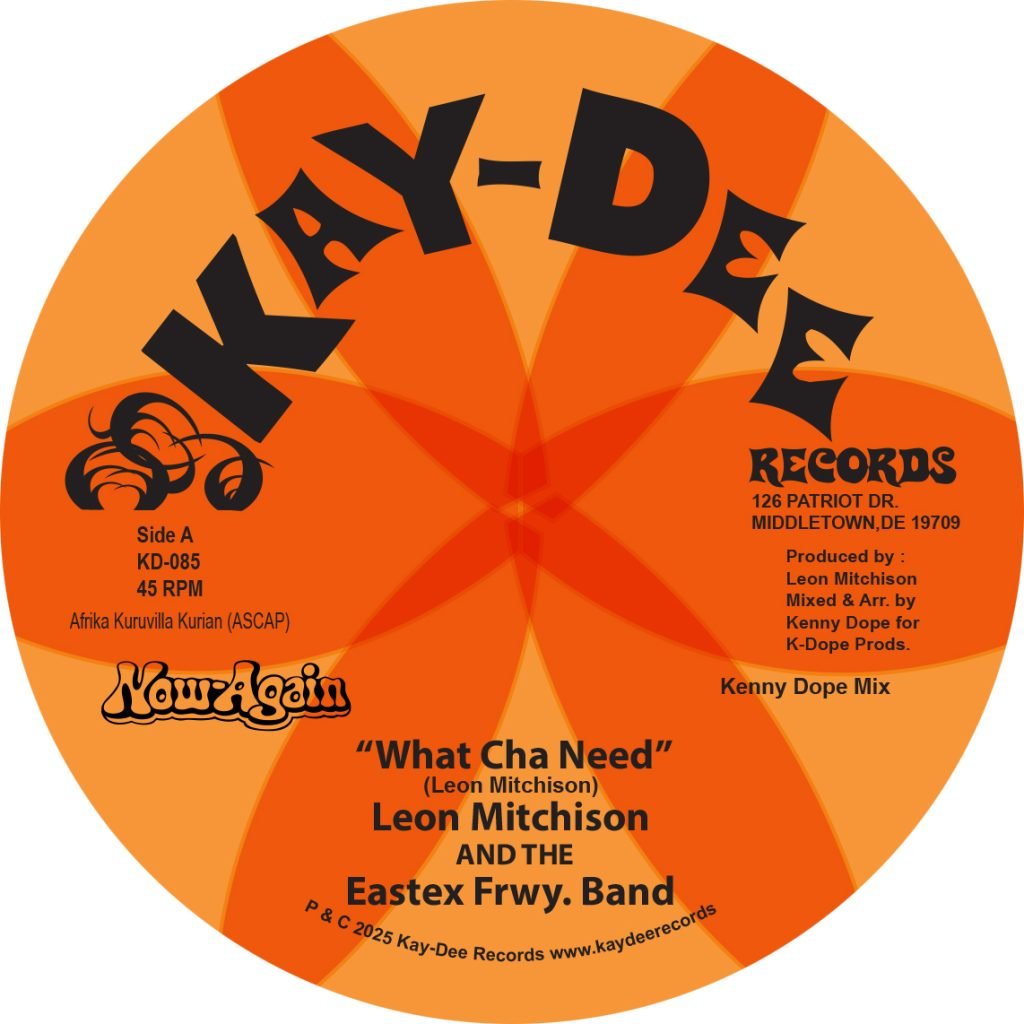 Leon Mitchison - What Cha Need / I'll Take You There [7" Vinyl]