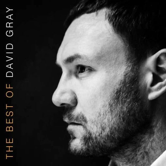 DAVID GRAY - THE BEST OF DAVID GRAY [2LP]