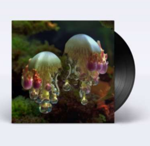 DJ Nobu & Wata Igarashi - Flares|泡 (Abuku) [Standard Sleeve]