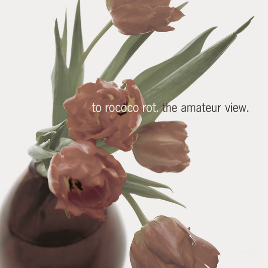 TO ROCOCO ROT - THE AMATEUR VIEW (EXPANDED EDITION 2025) [2LP]