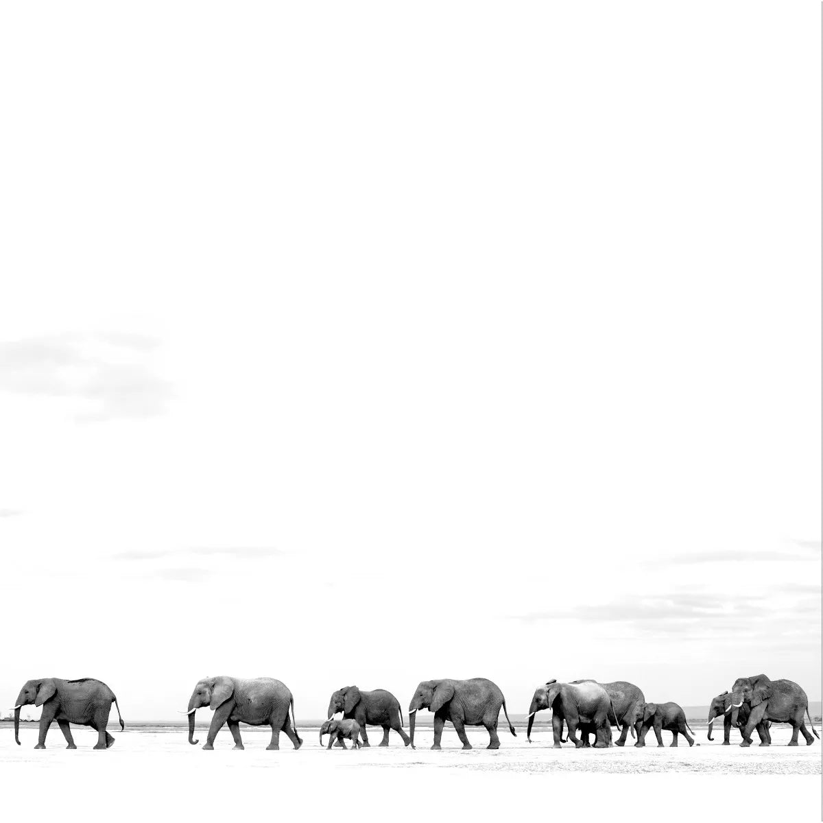 DAVE MATTHEWS BAND - Where Are You Going: The Singles [2LP]