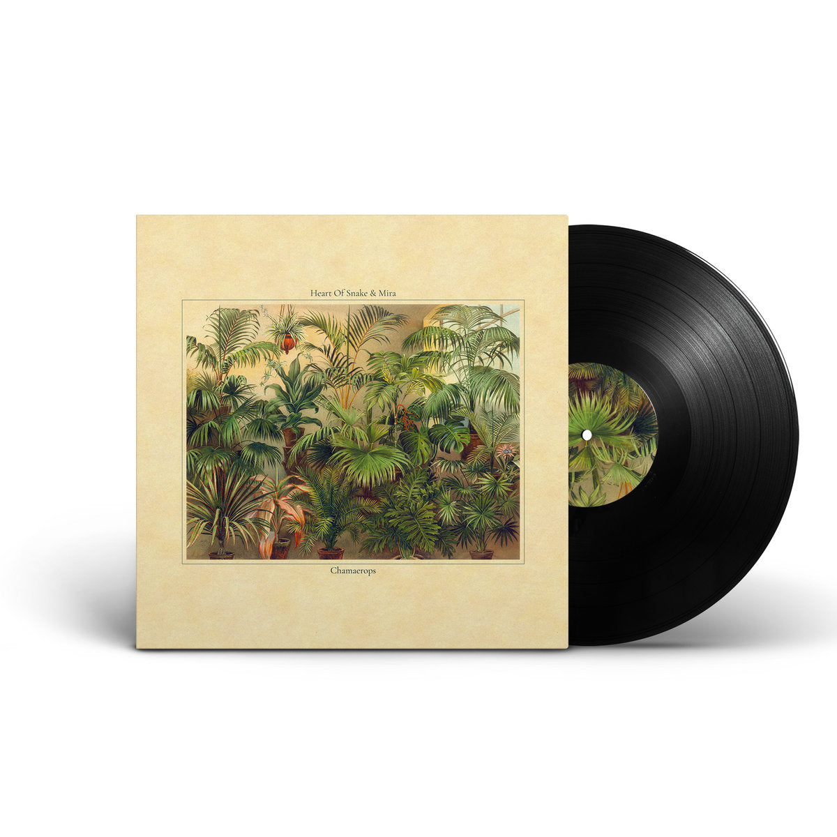 Heart Of Snake & Mira - Chamaerops