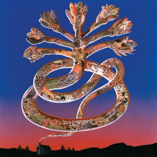 Cyclobe - Wounded Galaxies Tap at the Window [CD]