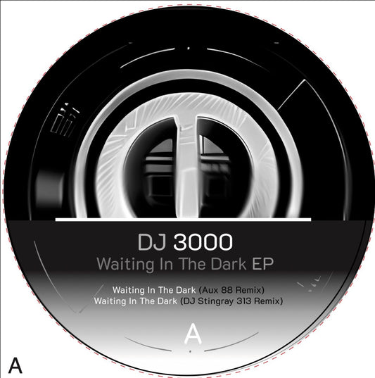 DJ 3000 - Waiting in the Dark EP