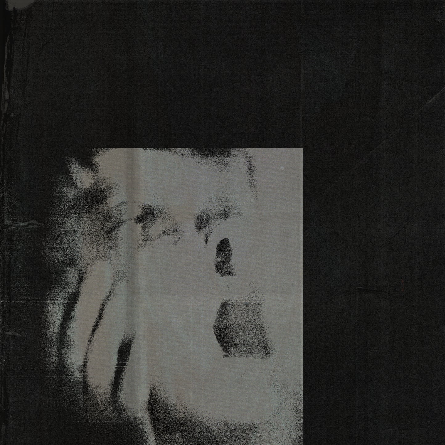 DITZ - Never Exhale [Transparent Orange Coloured Vinyl]