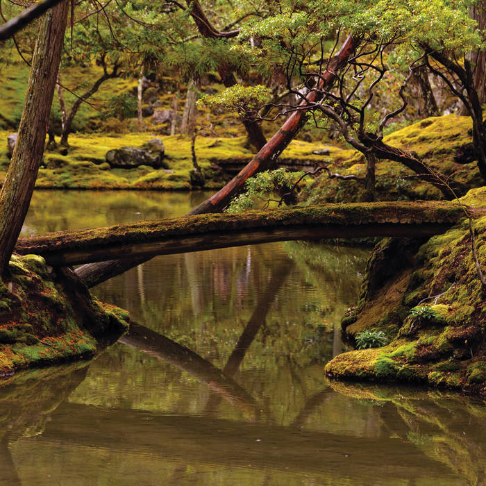 Rebecca Foon & Aliayta Foon-Dancoes - Reverie [CD]