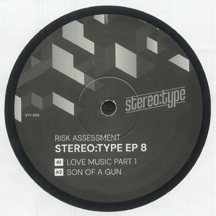 RISK ASSESSMENT - Stereo:type EP 8