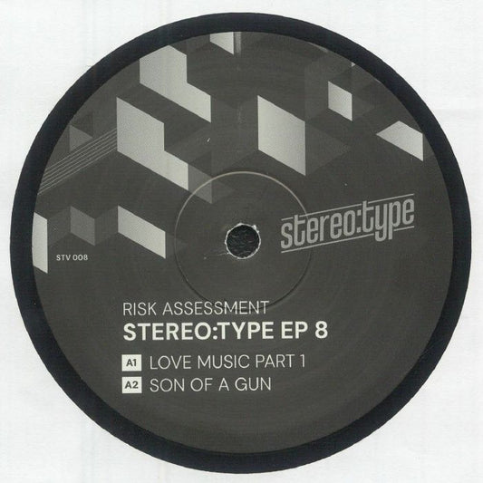 RISK ASSESSMENT - Stereo:type EP 8