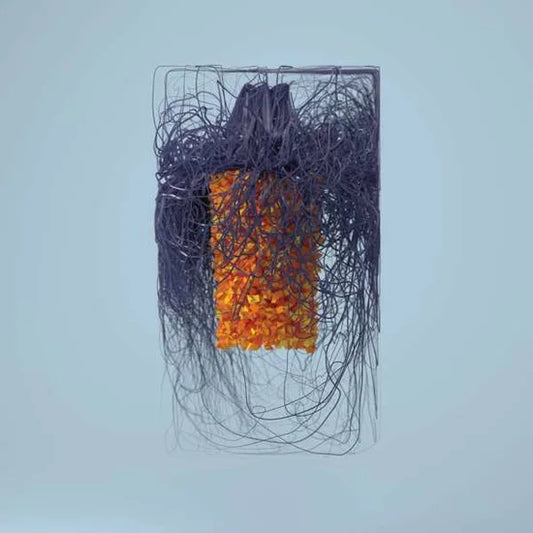 Plaid – Polymer [2LP]