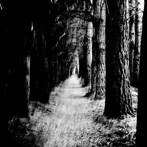 Theories - Falter [Transparent Red Vinyl]