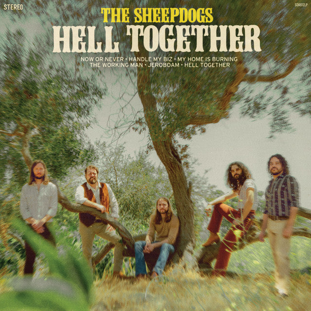 The Sheepdogs - Hell Together [CD]