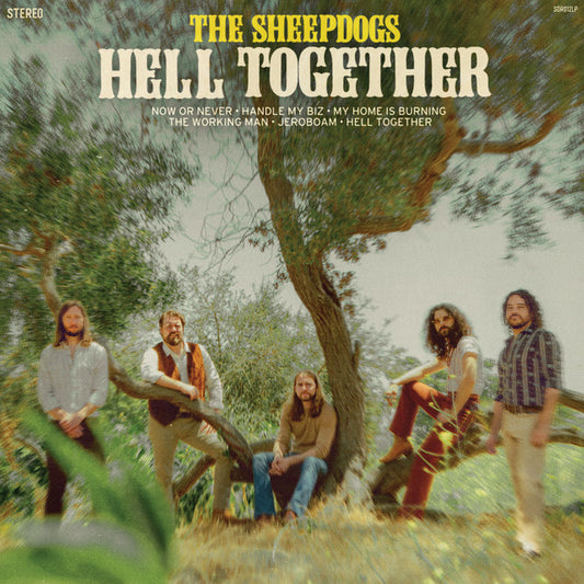 The Sheepdogs - Hell Together [CD]