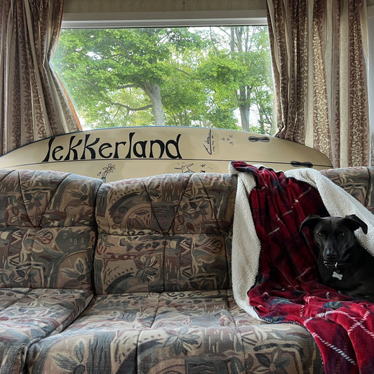 Casey Lowery - Lekkerland [Colour LP]