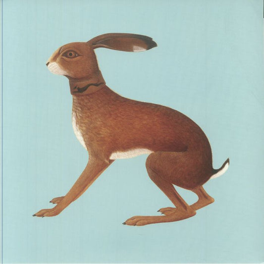 Vashti Bunyan - Lookaftering [2LP]