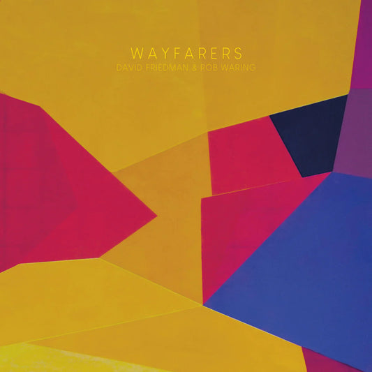 David Friedman & Rob Waring - Wayfarers [CD]