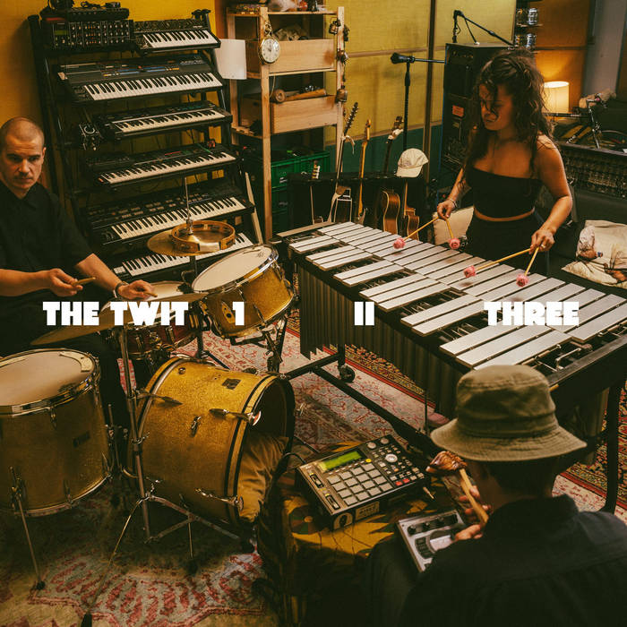 The Twit 1, II, Three - The Twit 1, II, Three