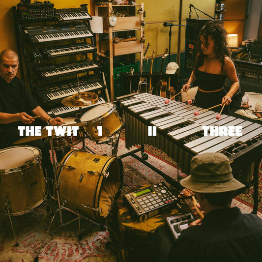 The Twit 1, II, Three - The Twit 1, II, Three