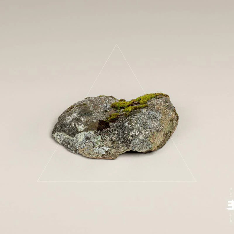 Fergus McCreadie - Cairn [CD]