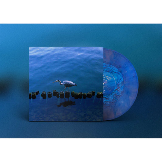 Various Artists - More Friends Than Fans	[Iridescent Blue vinyl]