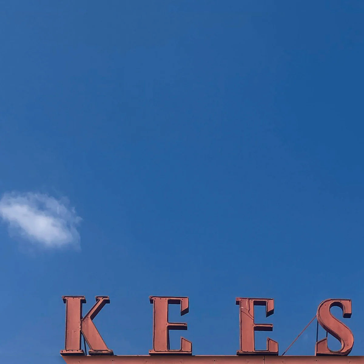 The Kees - The Kees [7" Vinyl]
