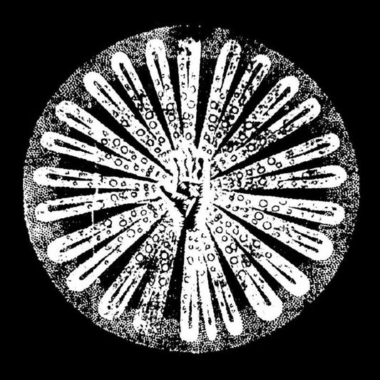 Filhos - Vol.2 [Cassette]